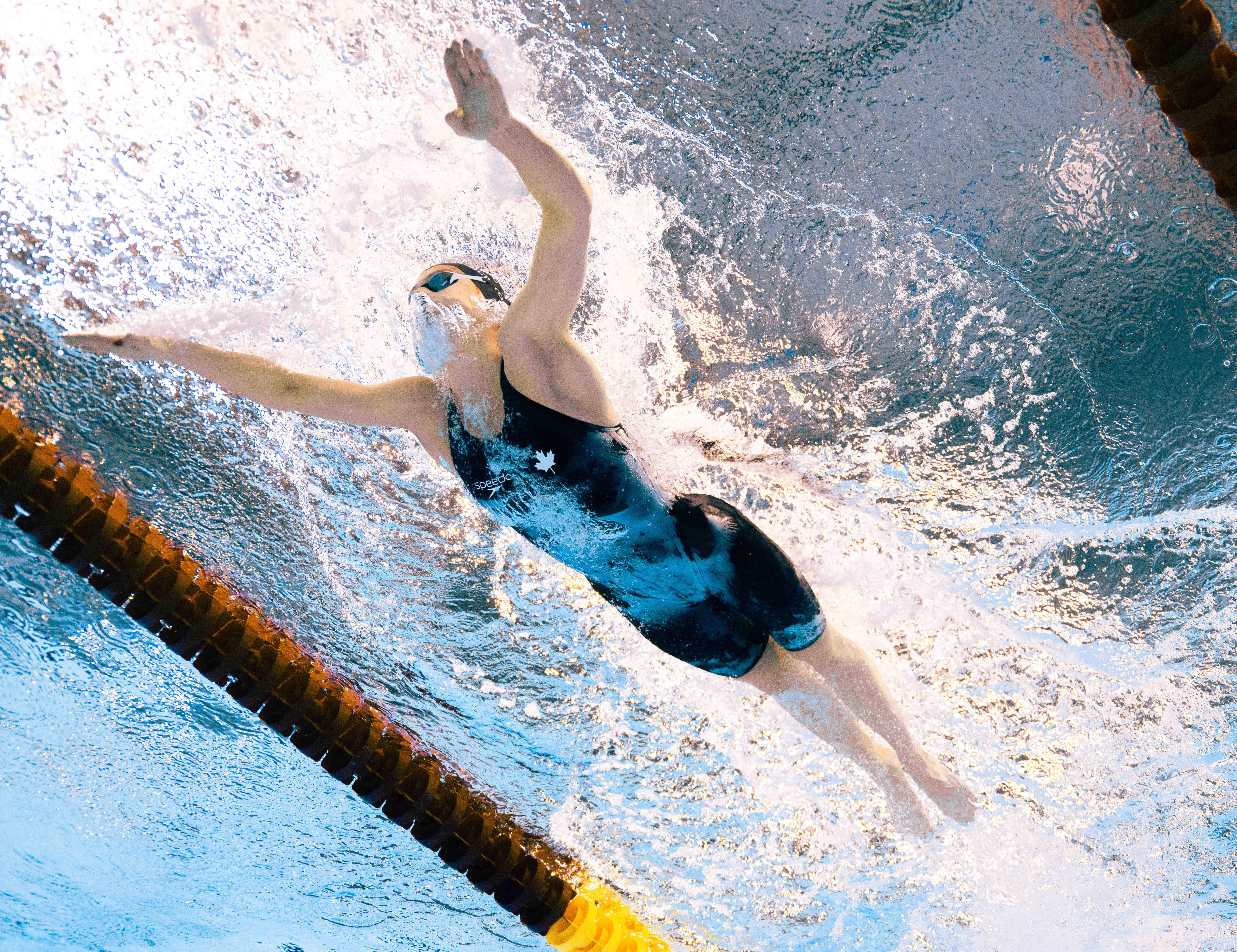 西班牙选手在游泳比赛中夺金