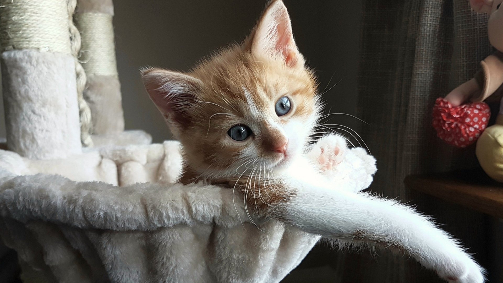 莫德里奇乱入NBA总决赛之夜，当足球大师被篮球评分系统拉满