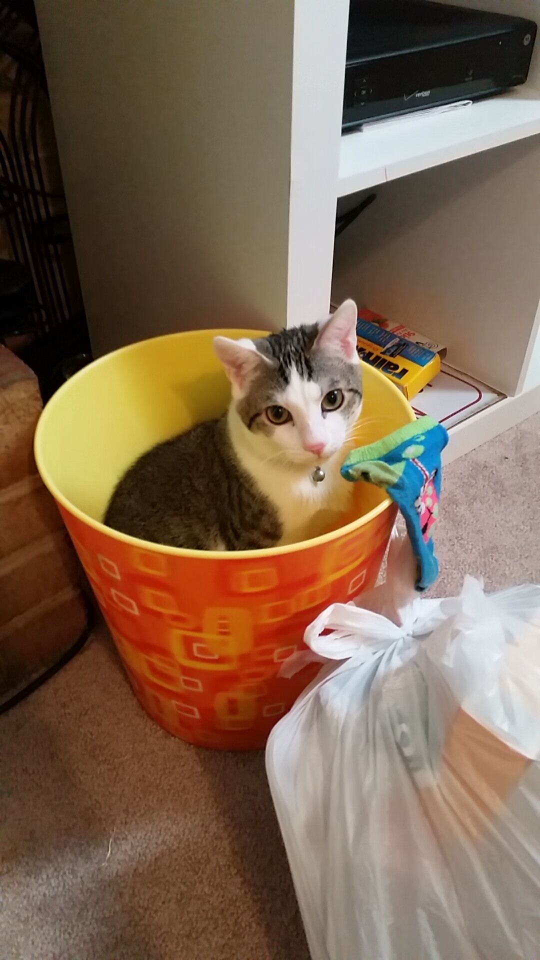 小国奇迹！恩佐一剑封喉，洪都拉斯掀翻法甲豪门书写新历史