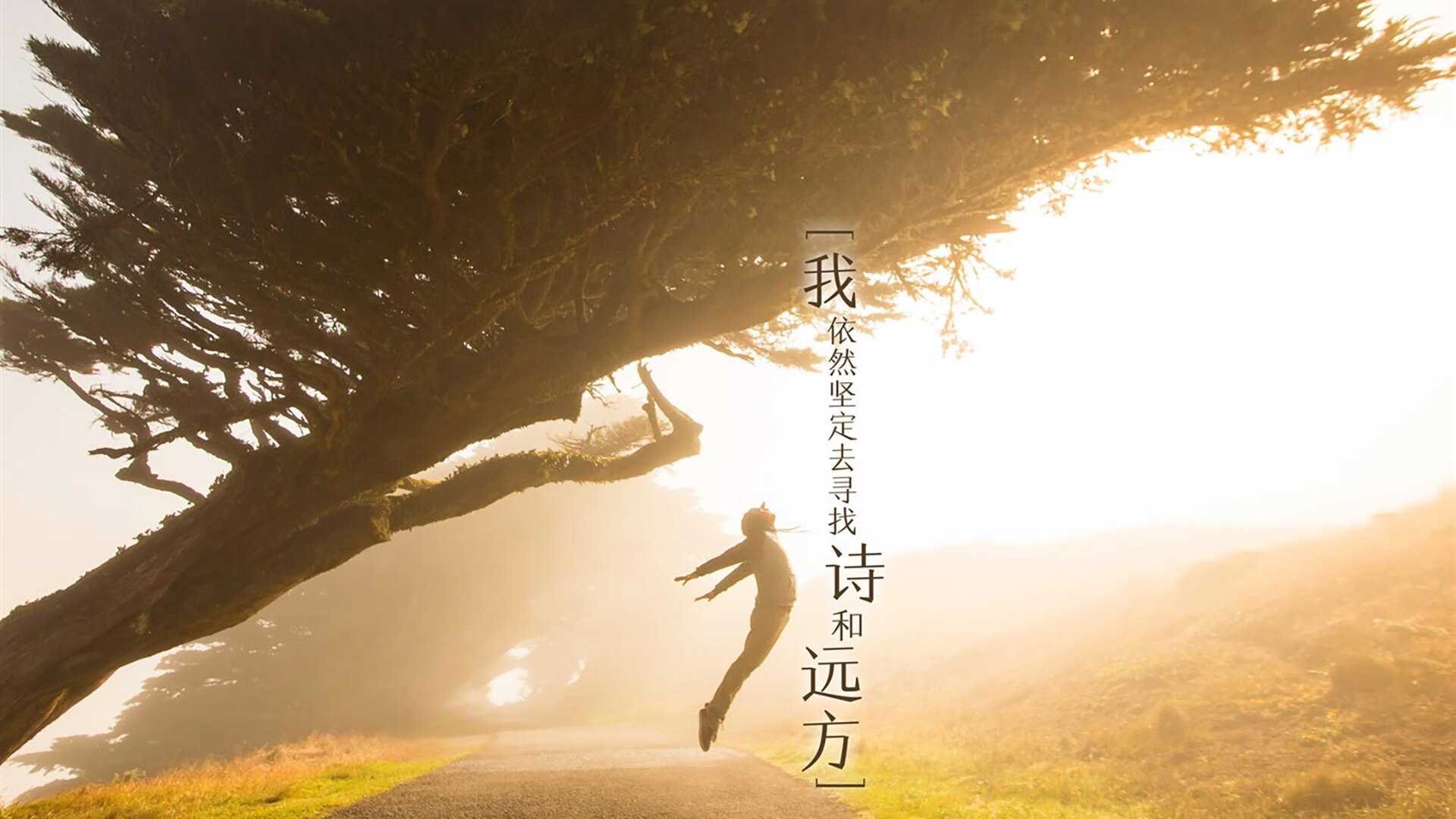 破茧成蝶，拉文焦点战狂轰42分，快船团队火力强势击退火箭