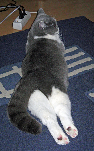 被误读的德罗赞，与勇士那场迟到的成人礼