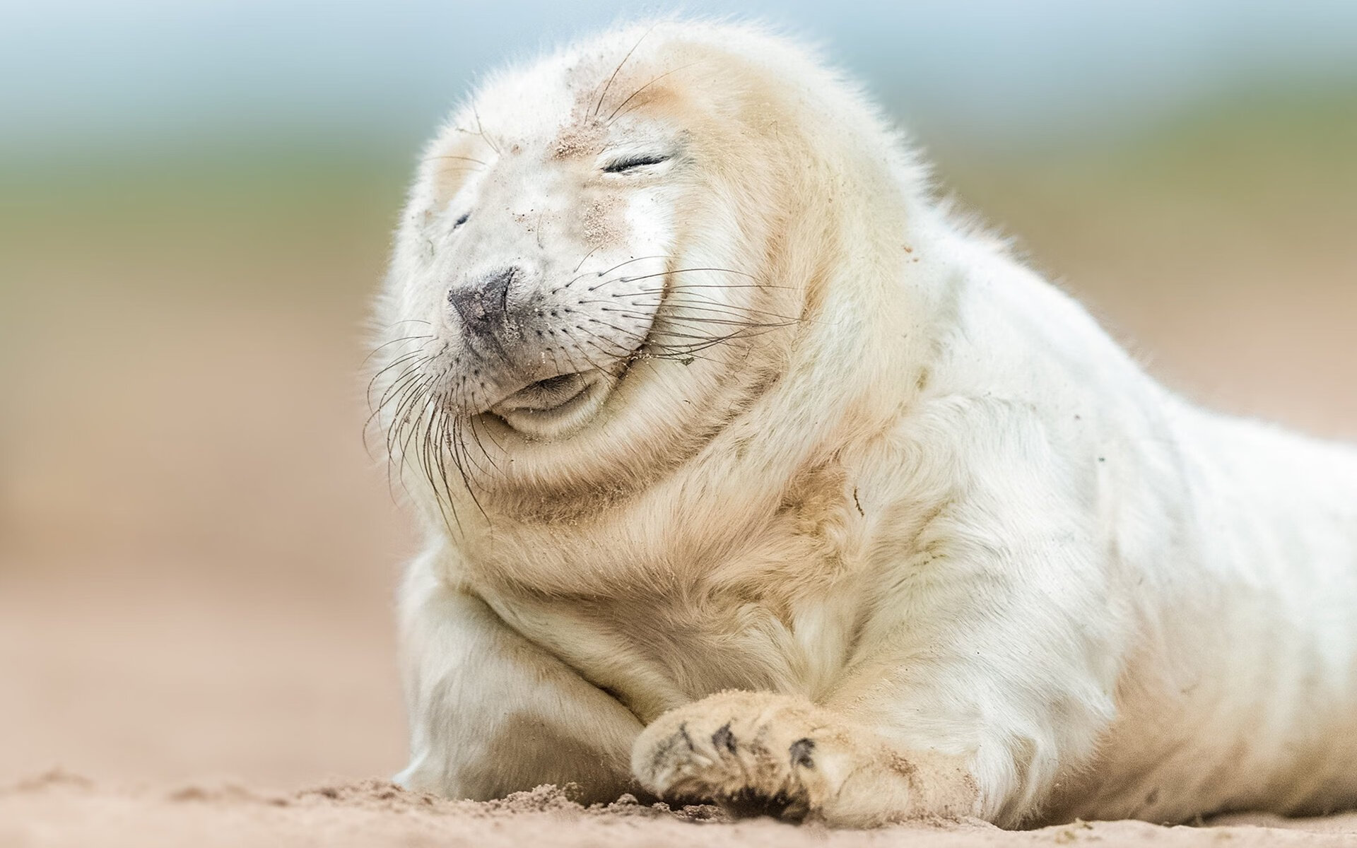葡萄牙风暴席卷安菲尔德！赖斯一传一射导演逆转，阿森纳终结利物浦主场神话