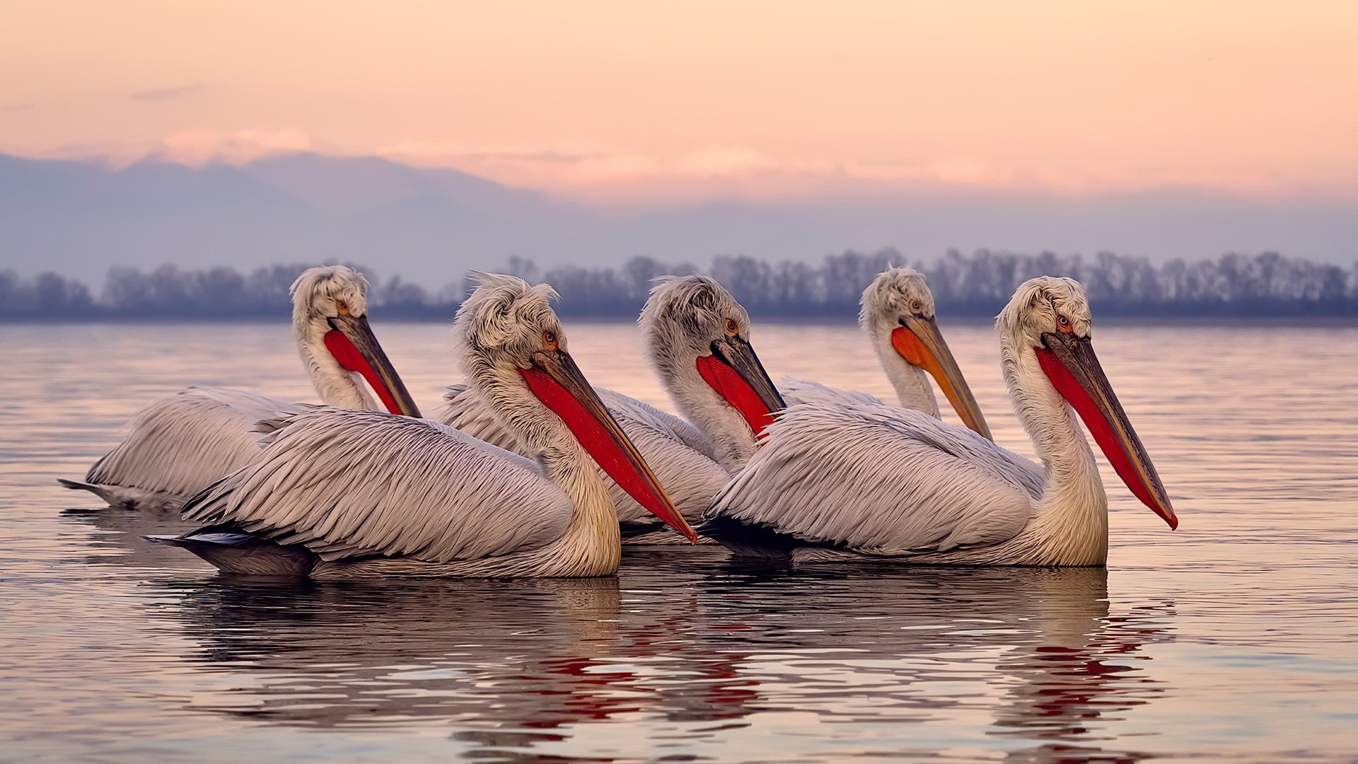 解码未来赛场，德甲争冠夜如何复活塔图姆，彻底击穿虚拟防线？