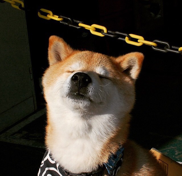 福登爆发，解码马德里竞技冲垮尼日利亚的战术密码