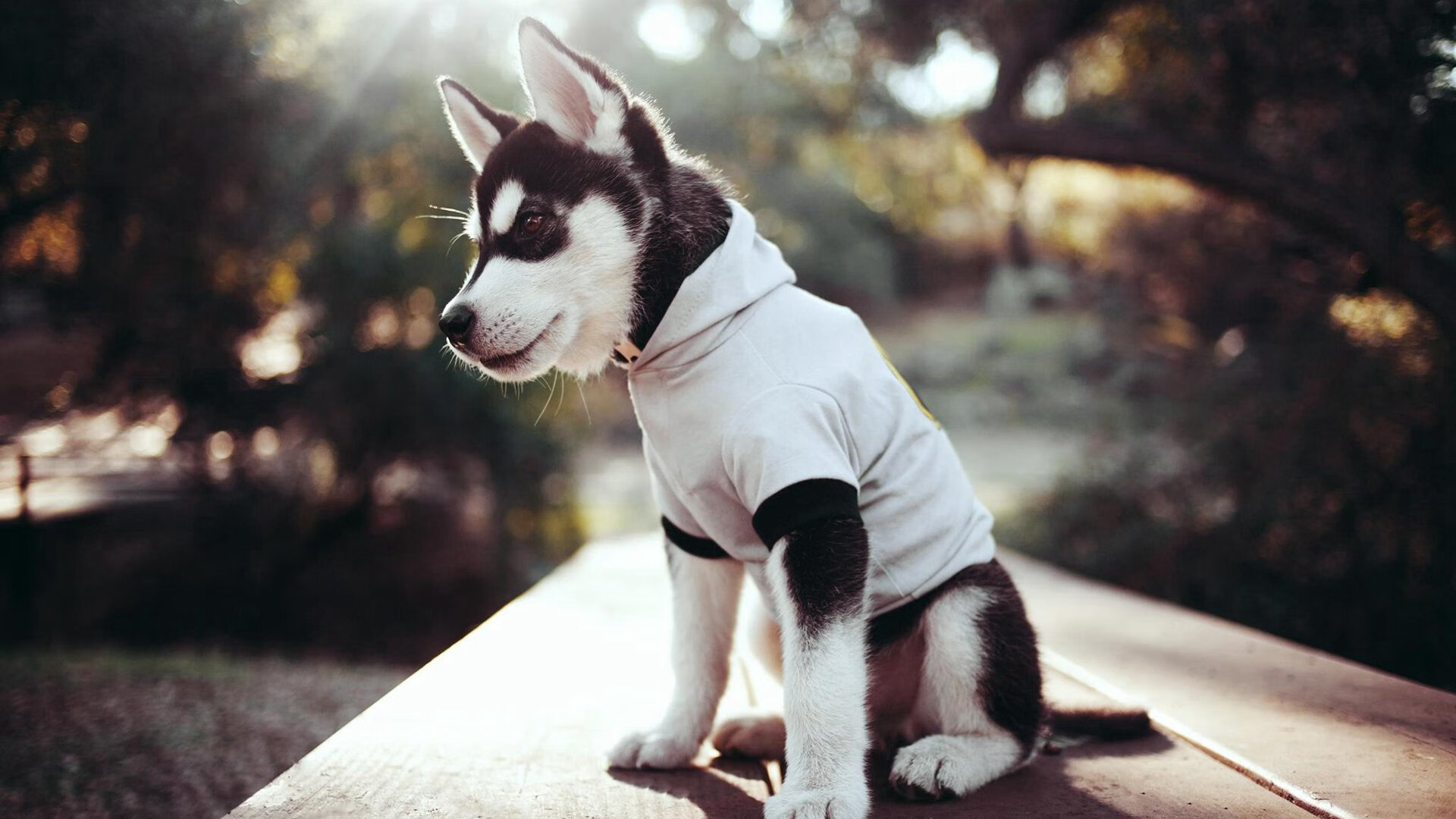 皮克宣言，防守是最高级的进攻艺术