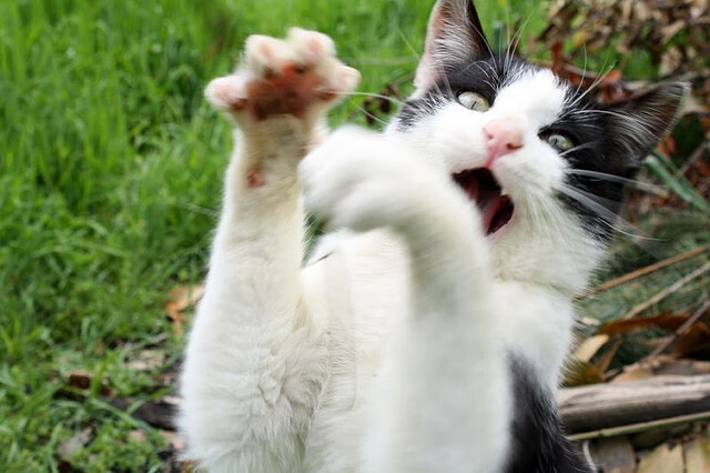 雷霆强势晋级，却见克莱比赛走势一手掌控