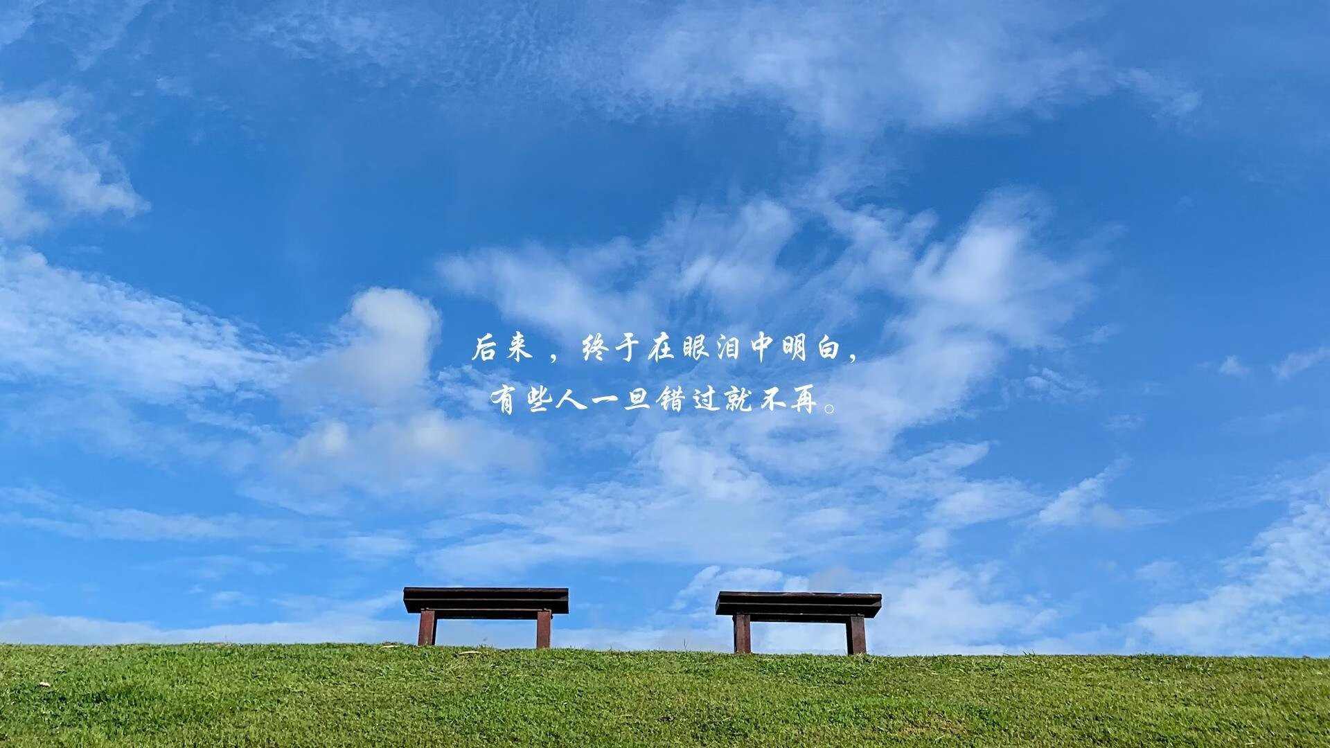 2026世界杯,豪门对决中的唯一传奇,C罗引领比利时击碎印度神话