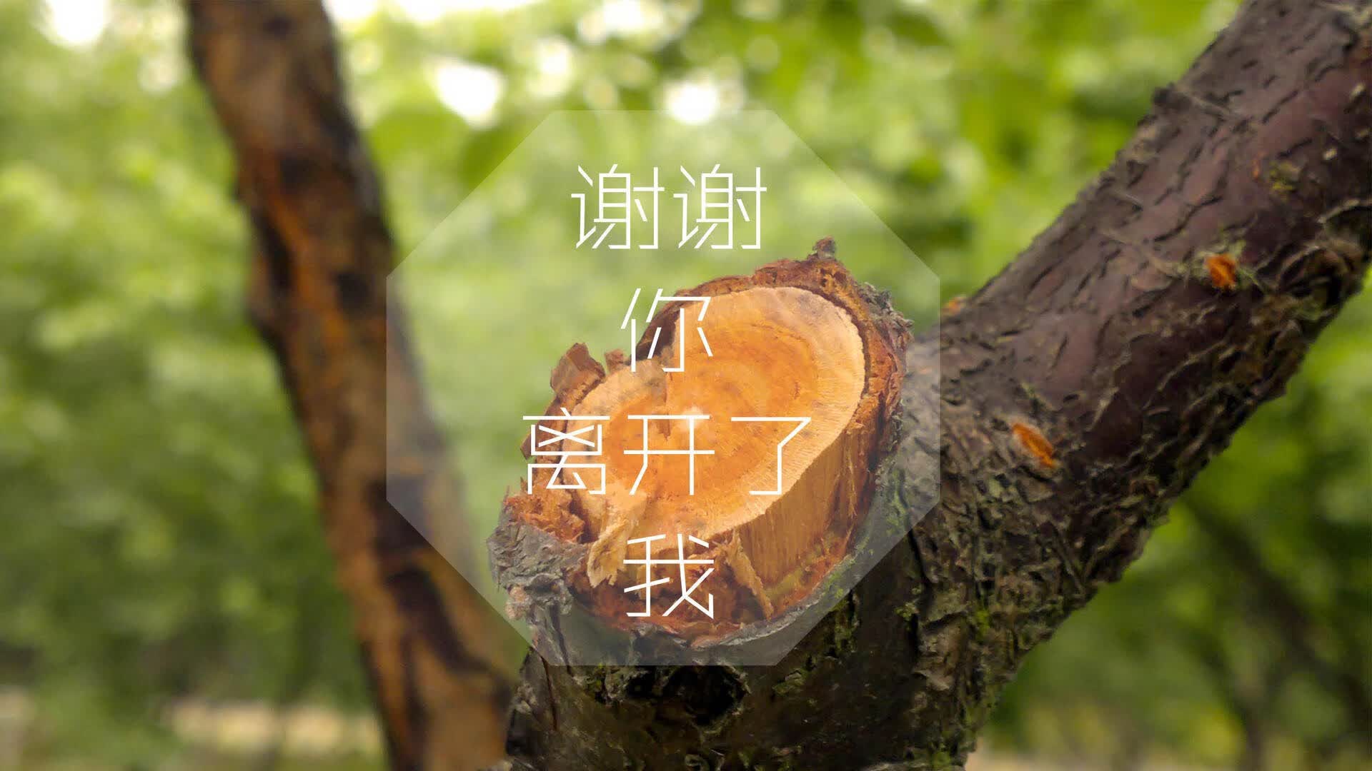 百年轮回,2026世界杯E组生死战,乌拉圭钢铁防线撕裂厄瓜多尔,莫德里奇用中场艺术定义永恒